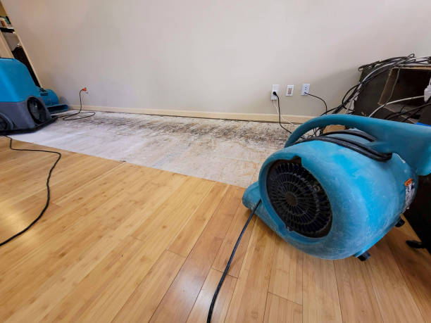 Professional Sewage Cleanup technician working in Middleburg, PA